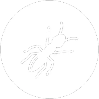 Ant icon