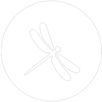 Dragonfly icon