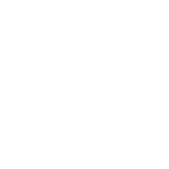 Kangaroo icon