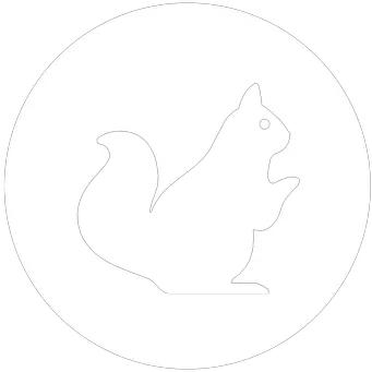 Squirrel icon