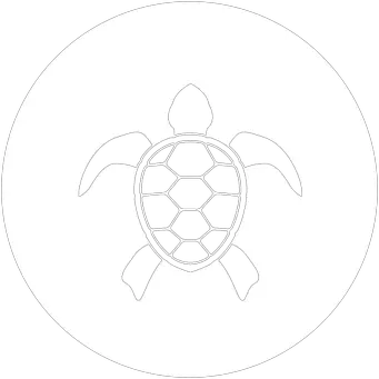 Turtle icon